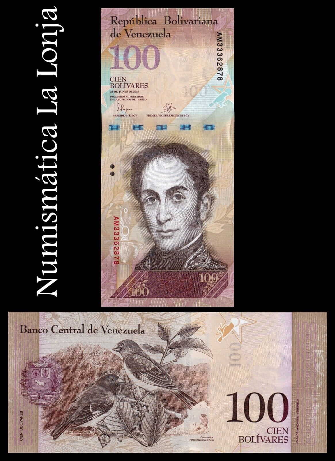 Venezuela 100 Bolívares Simón Bolívar 2015 Pick 93i Sc Unc