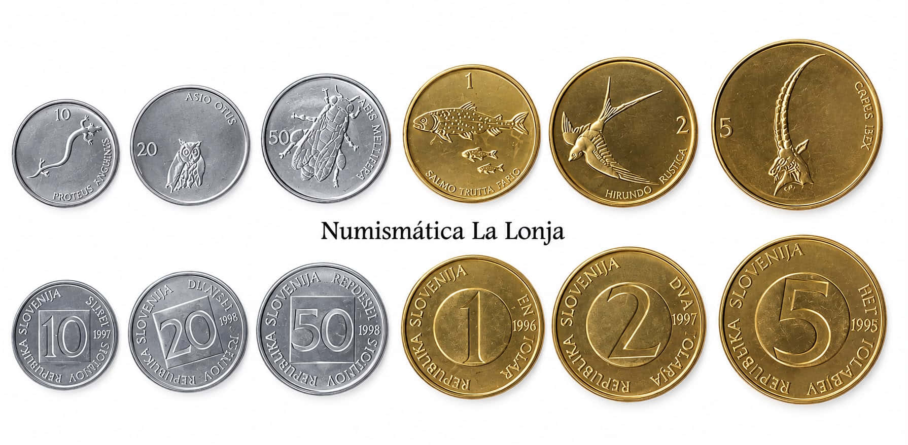 Eslovenia Set 6 monedas 10 20 50 Stotinov 1 2 5 Tolarjev 1992-1997 Km 3-8 Sc Unc