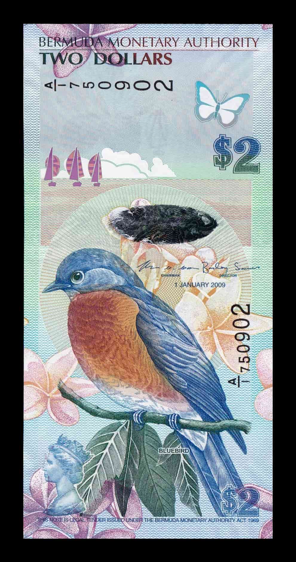 Bermuda 2 Dólares Pájaro Azul 2009 Pick 57b Híbrido Sc Unc