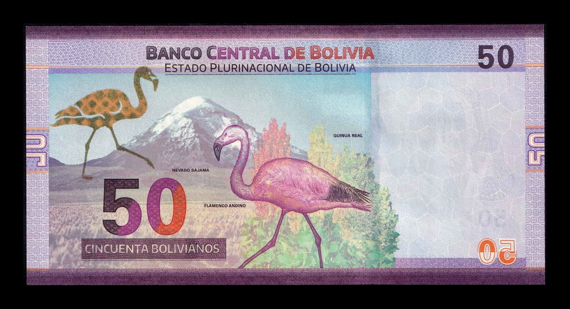 Alternative view of Bolivia 50 Bolivianos 2019-2024 Pick 250c Serie B Sc Unc