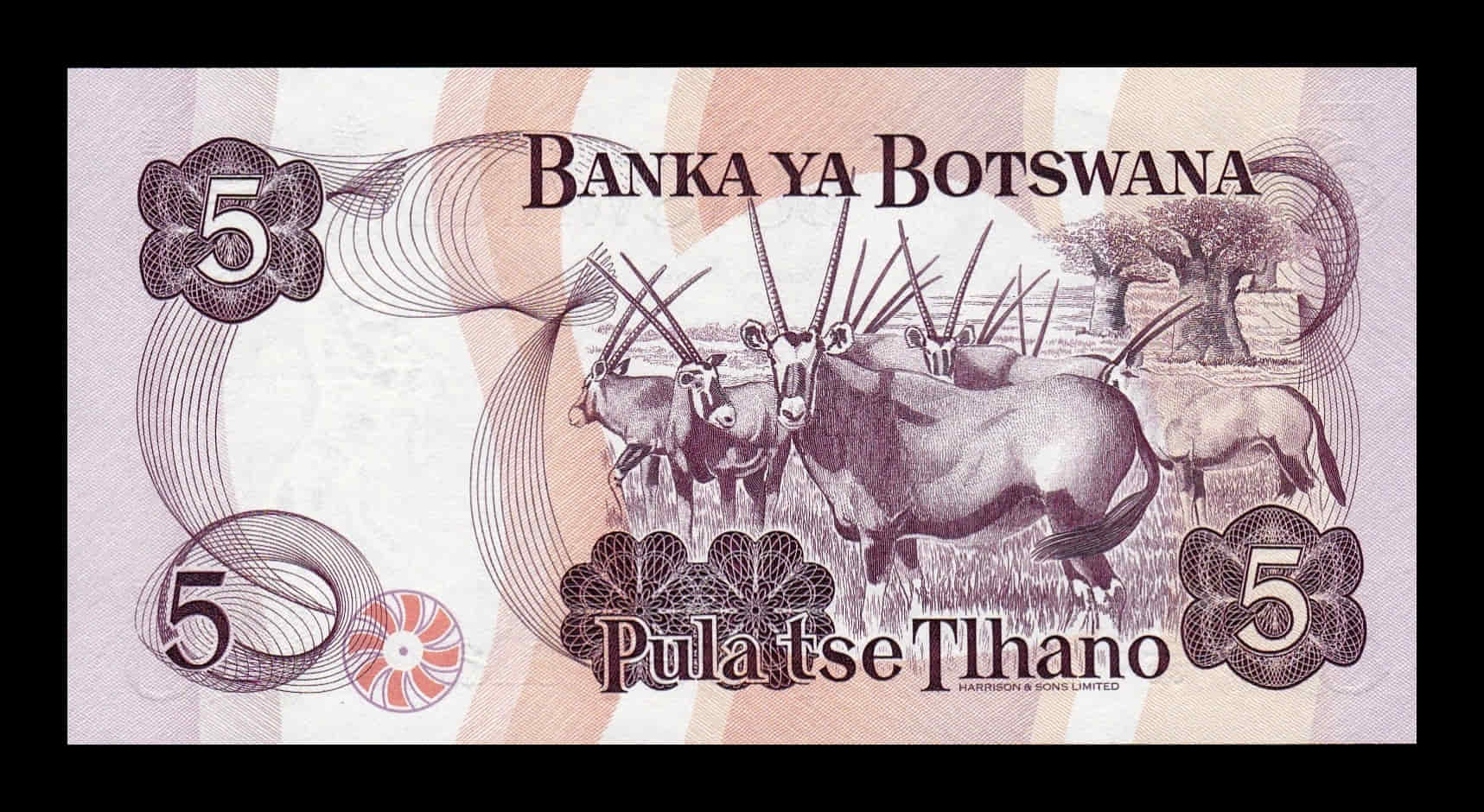 Alternative view of Botswana 5 Pula Ketumile 1992 Pick 11 Sc Unc