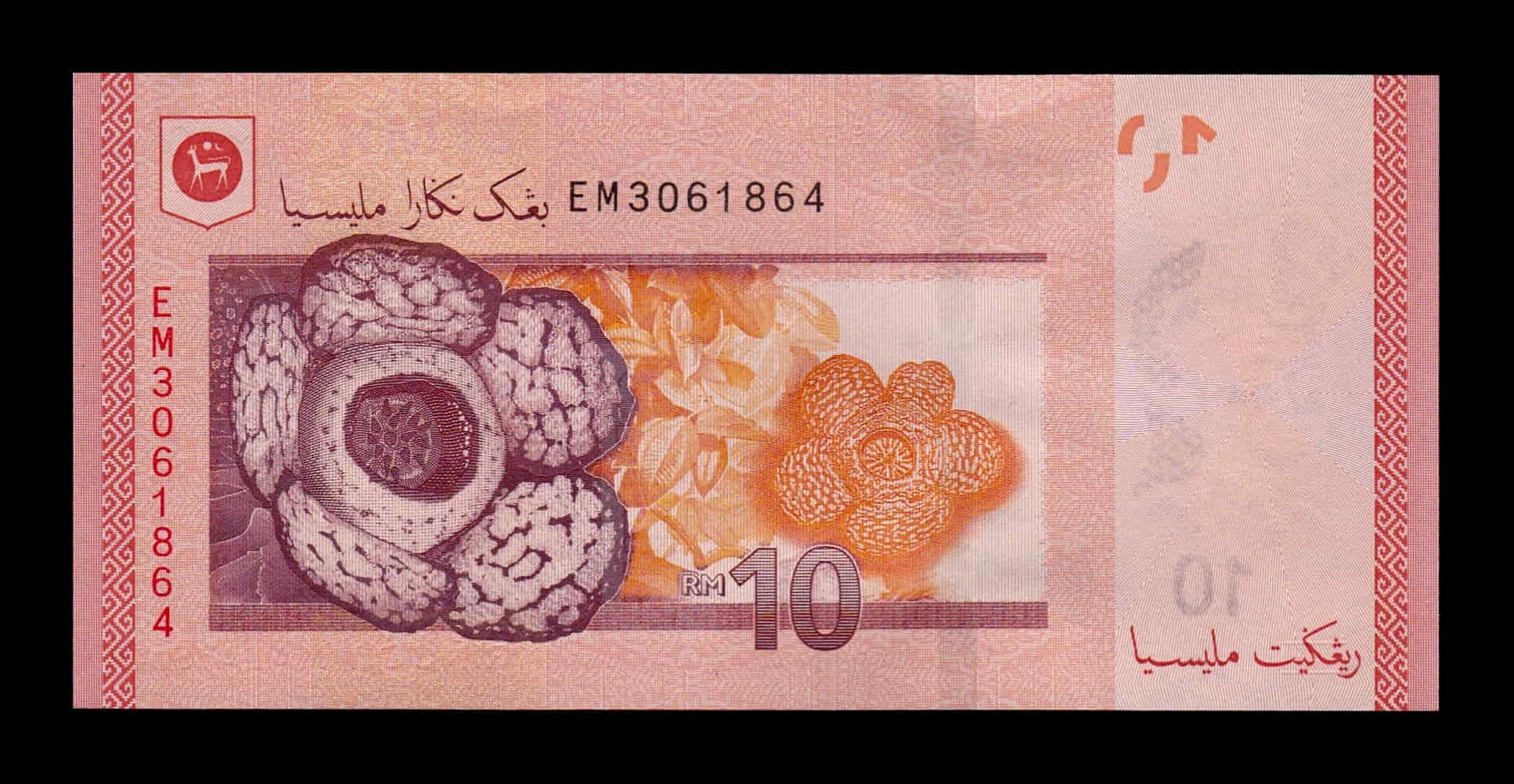 Alternative view of Malasia 10 Ringgit Tuanku Abdul Rahman 2011 (2018) Pick 53b Sc Unc