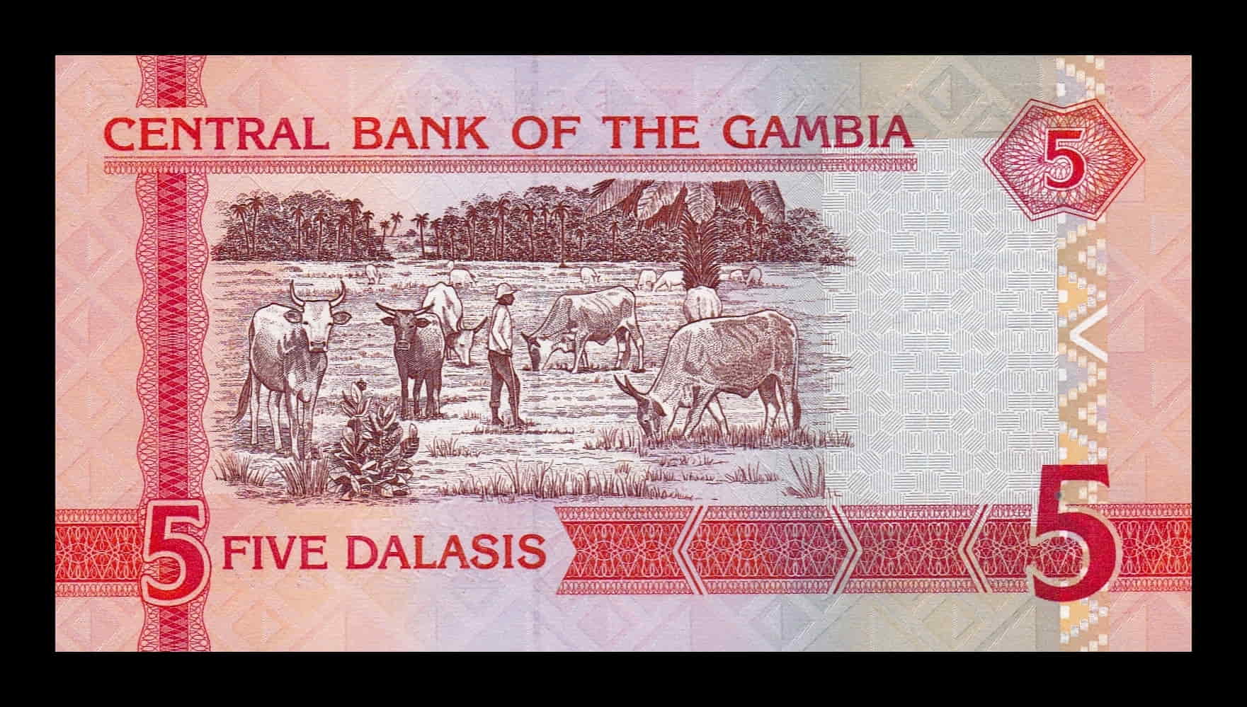 Alternative view of Gambia 5 Dalasis 2006 Pick 25a Sc Unc