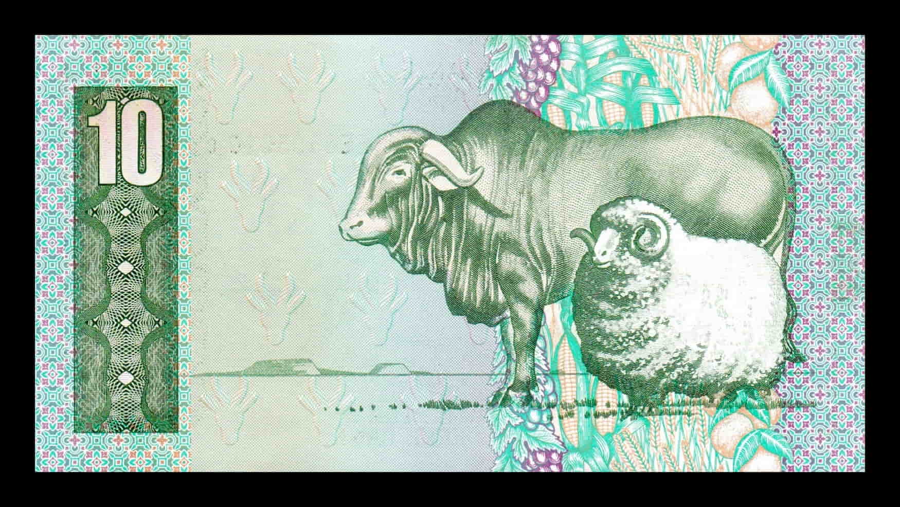 Alternative view of Sudáfrica 10 Rand Bartholomeus Vermuyden 1985 Pick 120d Sc Unc